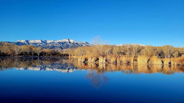 Verde River Greenway State Natural Area - Image 3
