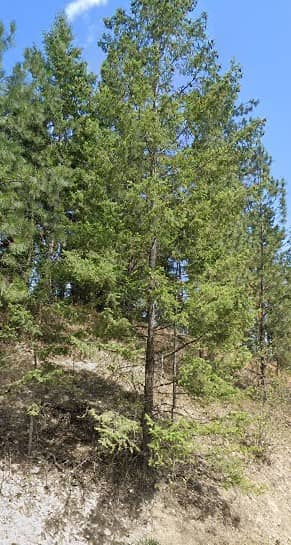 Horizon Park - Image 1