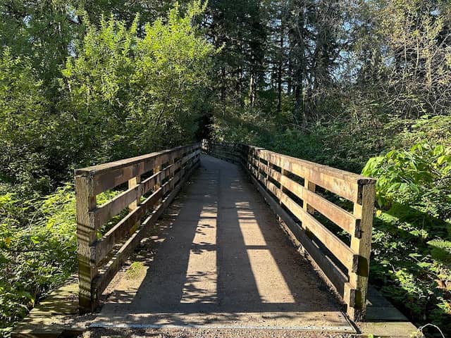 Beaver Marsh - Image 1