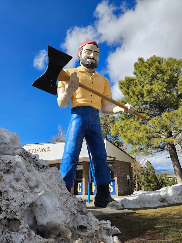 Muffler Man / Lumberjack - Image 2