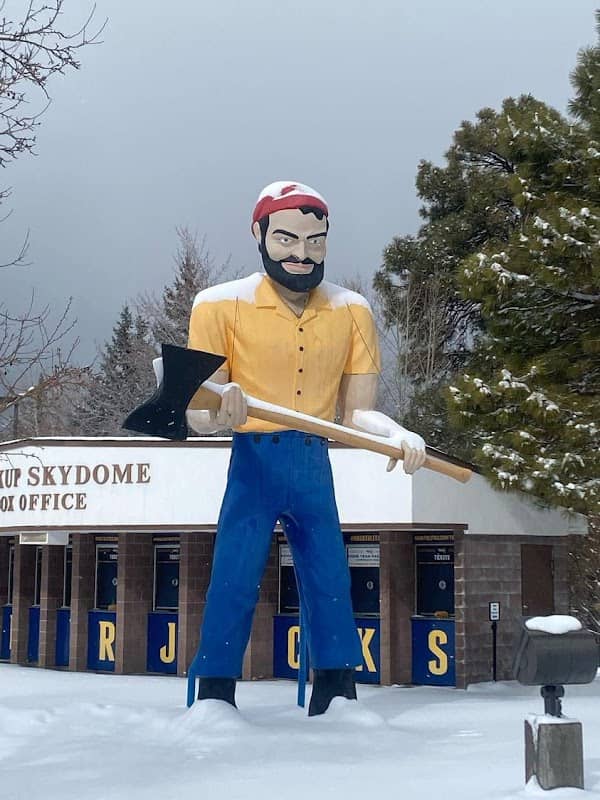 Muffler Man / Lumberjack - Image 3