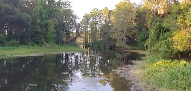 Gil Waters Preserve Park - Image 2