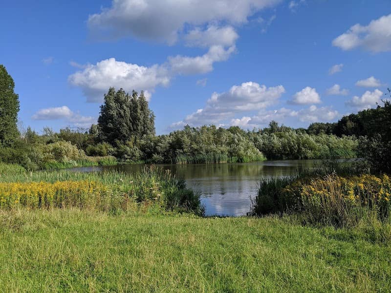 Low Hall Nature Reserve - Image 1