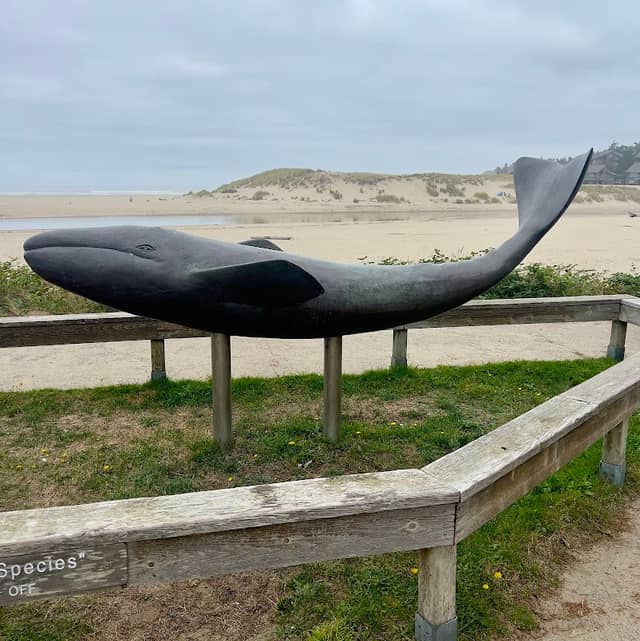 Whale Park - Image 1