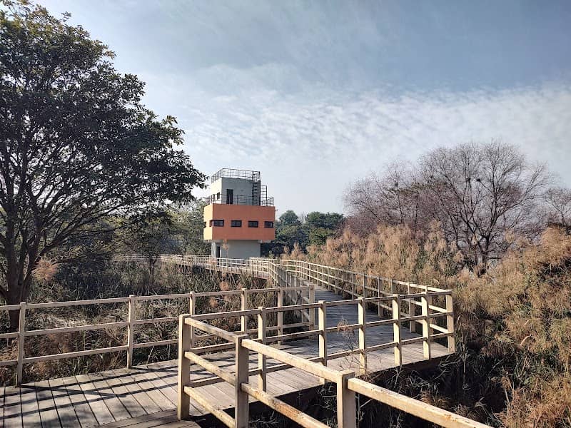 Bird Watch Centre - Ropar - Image 2