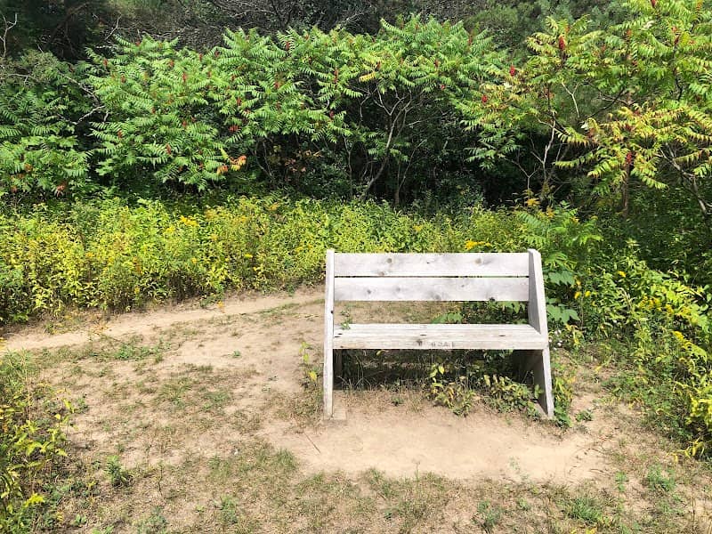 Mengsu bench - Image 1