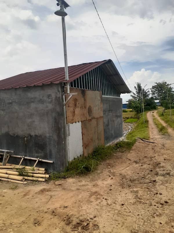 JDM Farm - Image 1