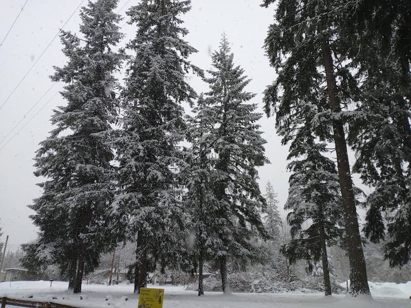 Granite Falls Dog Park - Image 1
