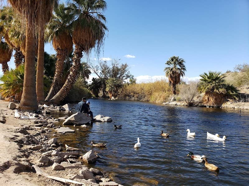 Yuma Conservation Garden - Image 3