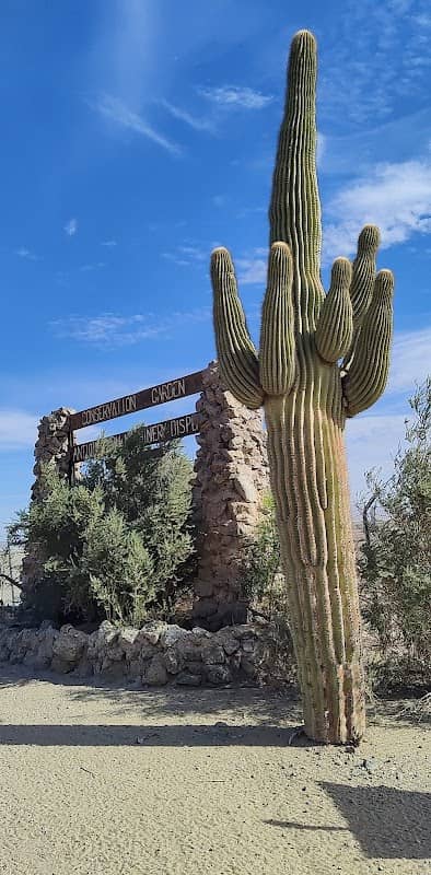 Yuma Conservation Garden - Image 1