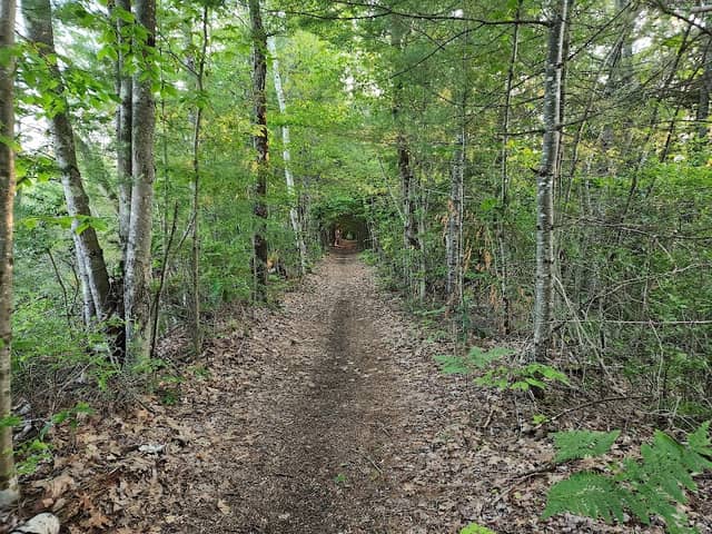 Concord - Lake Sunapee Rail Trail - Image 2