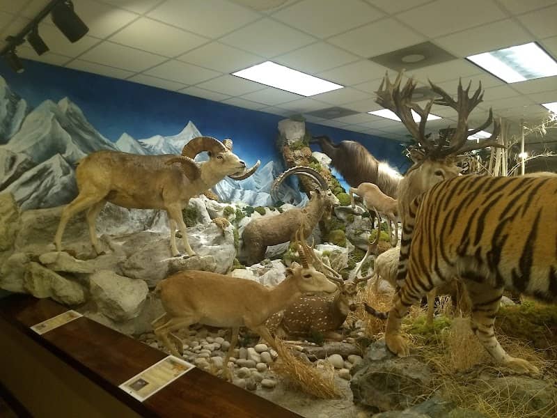 Harber Wildlife Museum, shawnee trail - Image 2