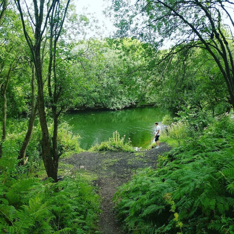 Turners Flash - Image 1