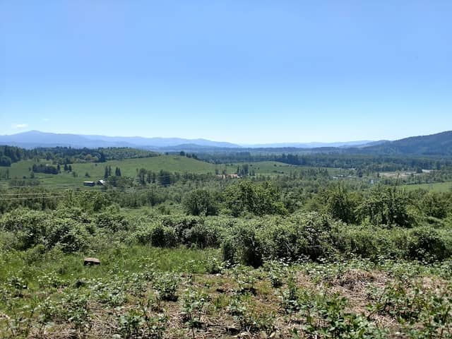 Jasper Meadows - Image 1