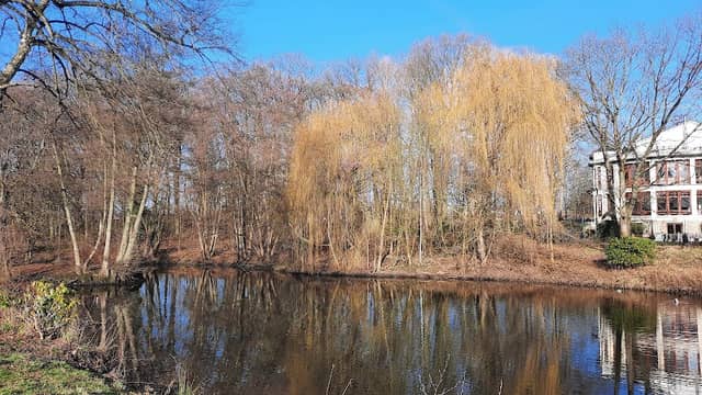 Gellhorn Park - Image 1