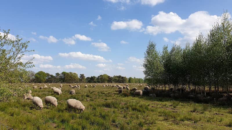 Schaapskooi - Image 1