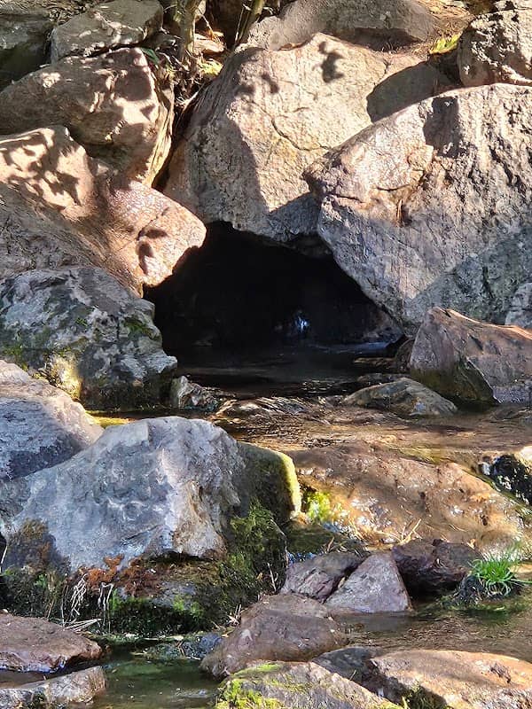 Headwaters Spring - Image 2