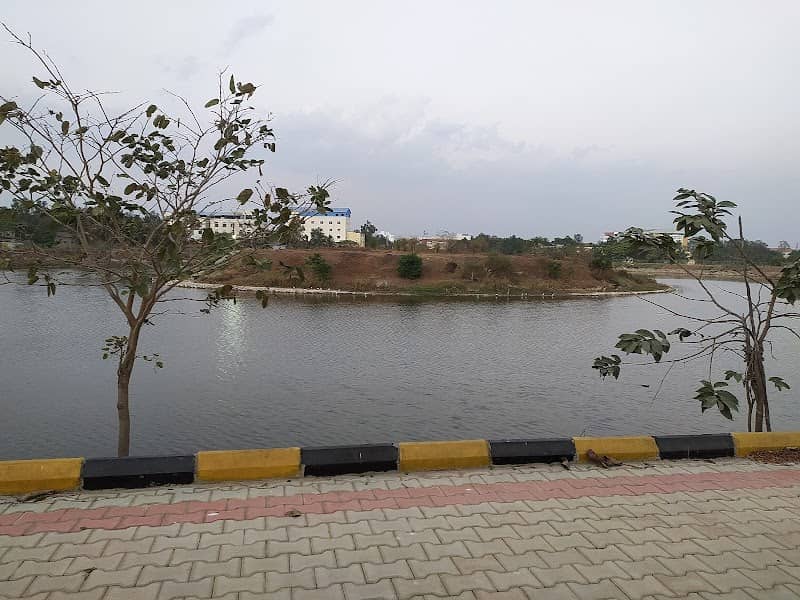 Kithiganahalli Lake view - Image 1