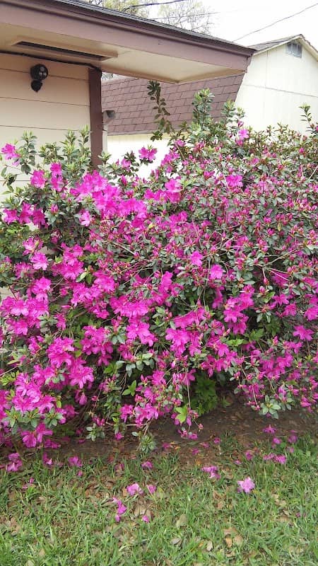 Herbert Tartar Park - Image 1