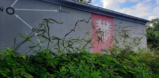 Pomnik przyrody LIPA DROBNOLISTNA - Image 1