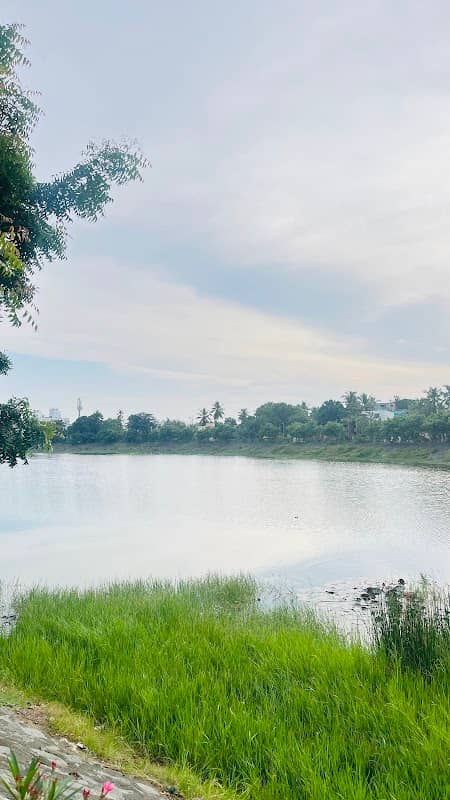 Puzhuthivakkam Lake - Image 1