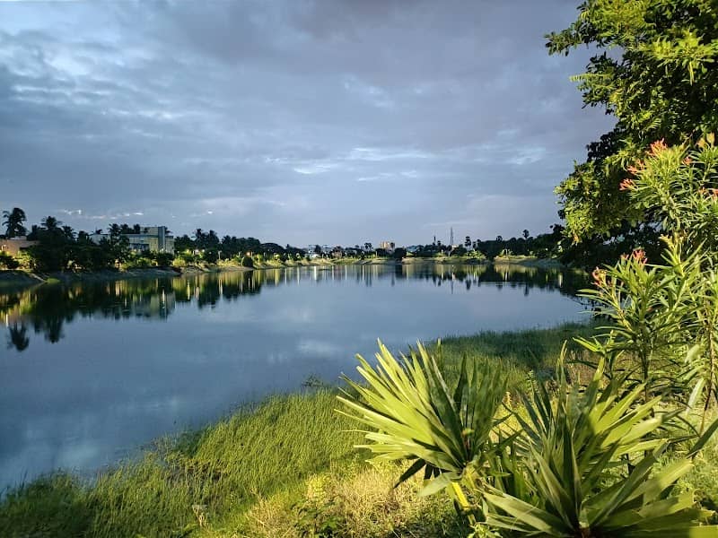 Puzhuthivakkam Lake - Image 2