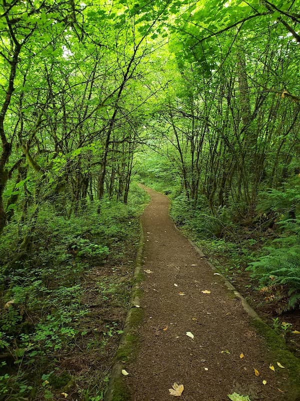 Forest Discovery Trail - Image 1