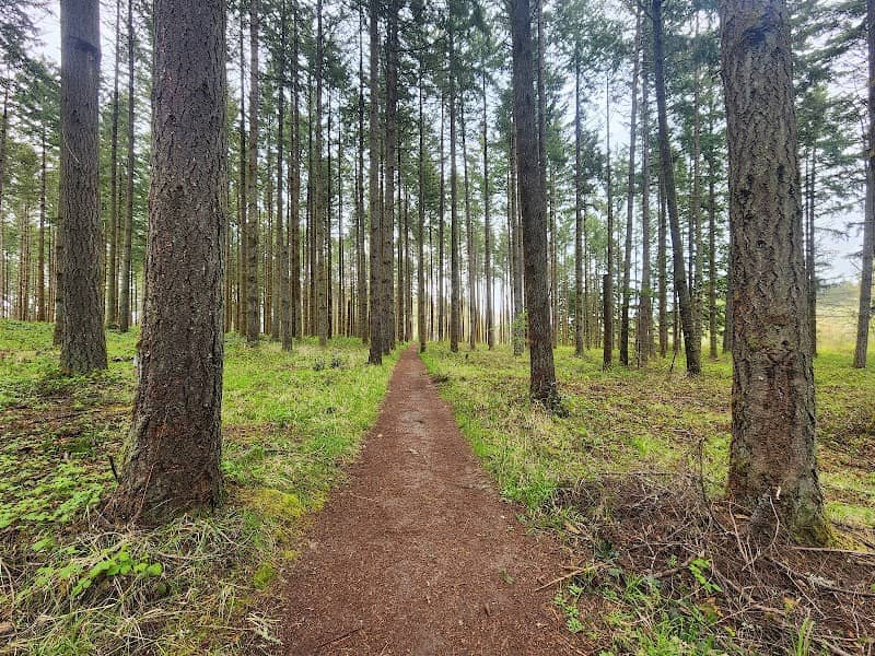 Forest Discovery Trail - Image 3