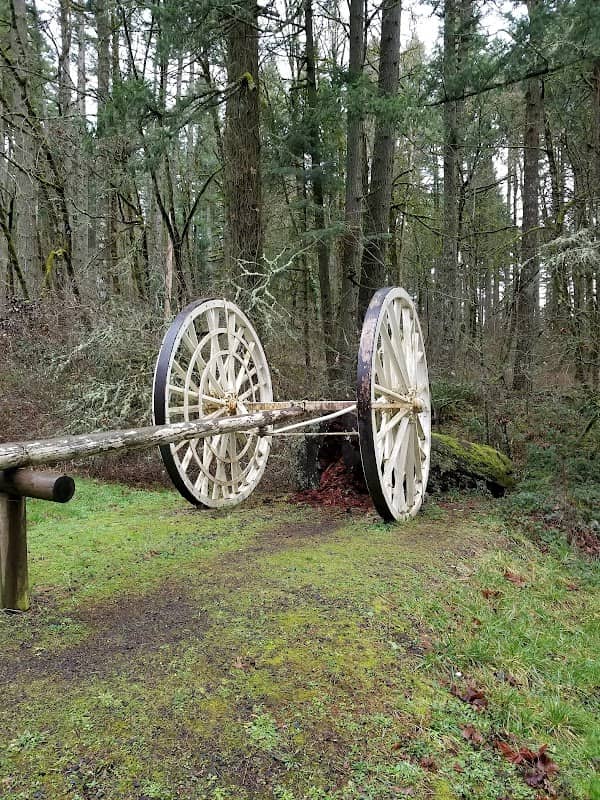 Forest Discovery Trail - Image 2