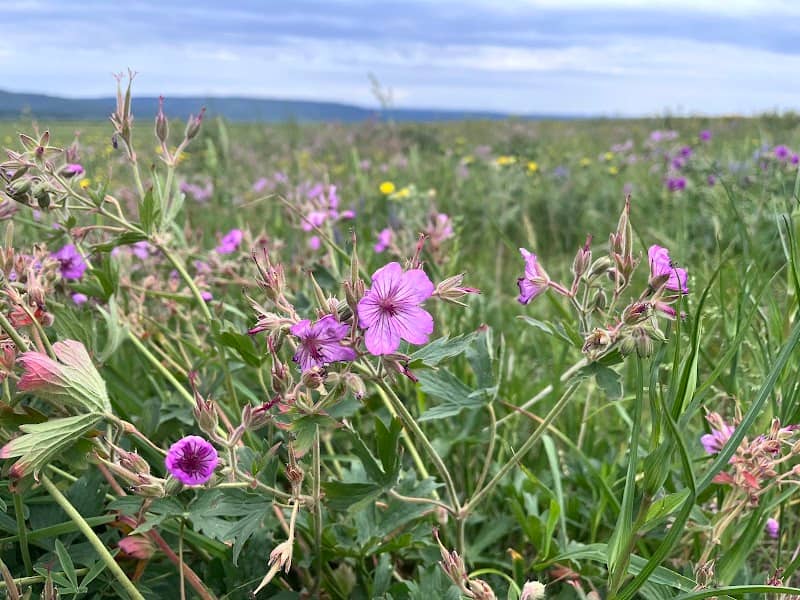Flat Ranch Preserve - Image 2