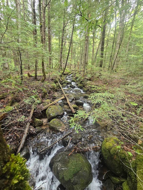 Houston Brook Falls - Image 2