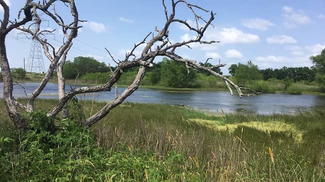 Melvin’s Pond & Camp - Image 1