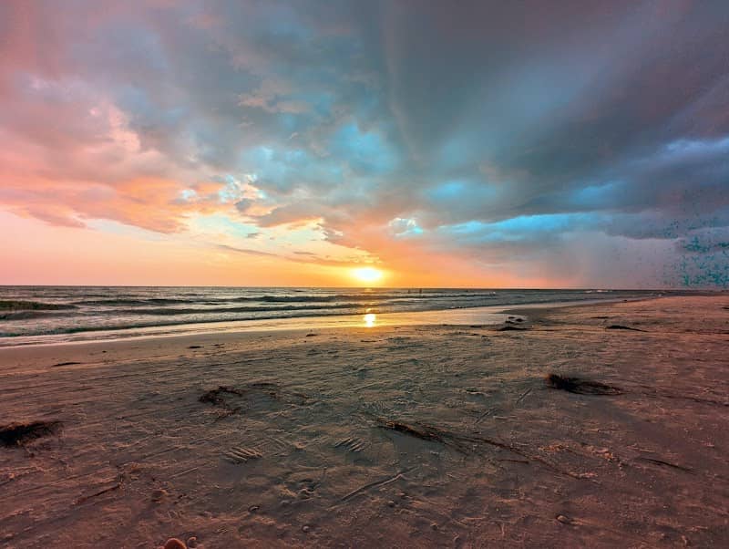 Honeymoon Island State Park - Image 2