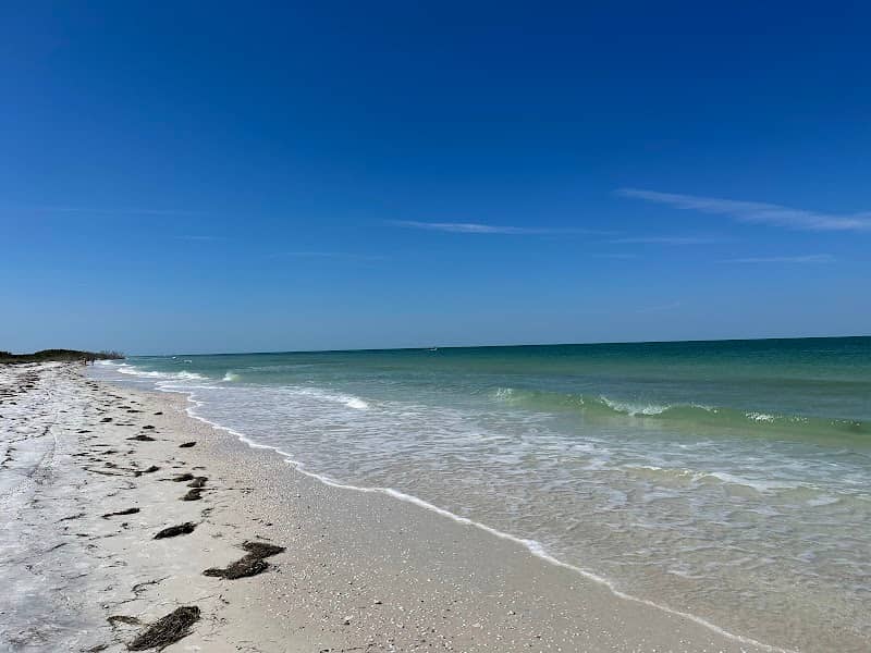 Honeymoon Island State Park - Image 3