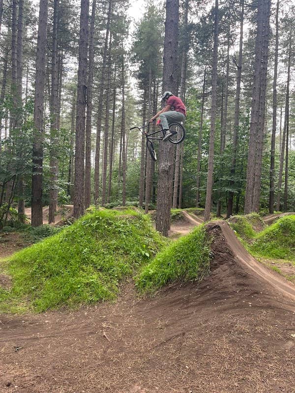 Sherwood Pines Bike Park - Image 1