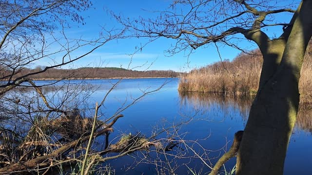Wernsdorfer See - Image 1