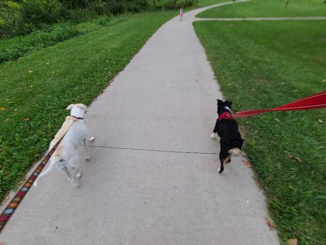 Court Hill Park - Image 2