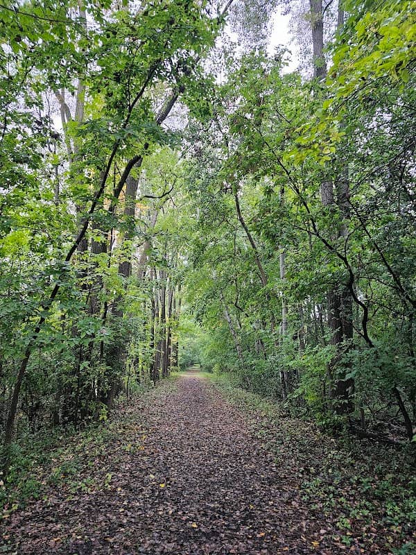Menasha Conservancy Area - Image 1