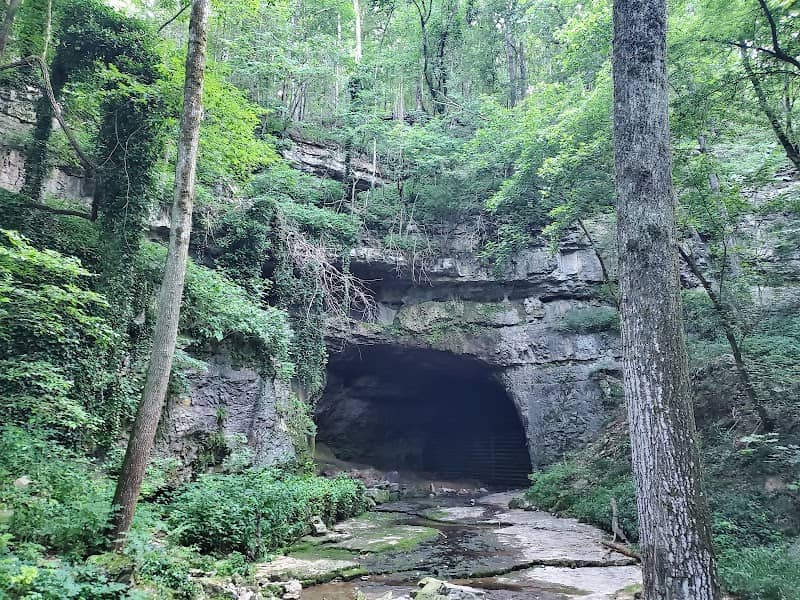 Sauta Cave National Wildlife Refuge - Image 1