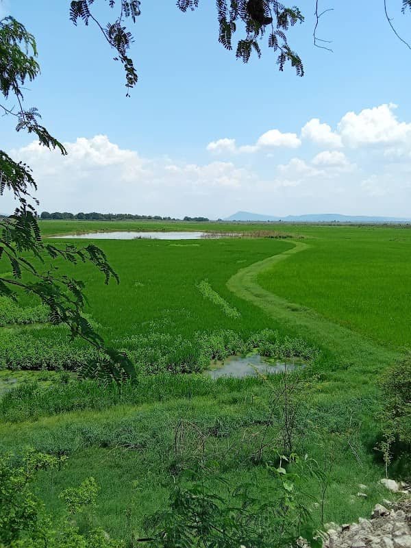 สะพานป่าสักบ้านท่าหลวง ลพบุรี - Image 2