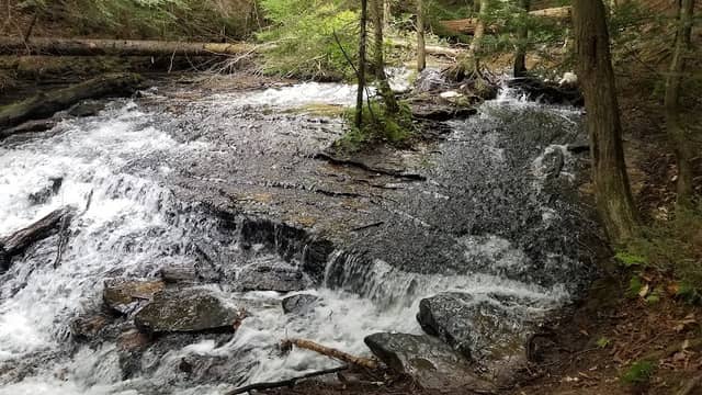 Wagner Falls Scenic Site - Image 2