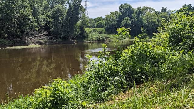 Tuscola Township Park - River access - Image 1