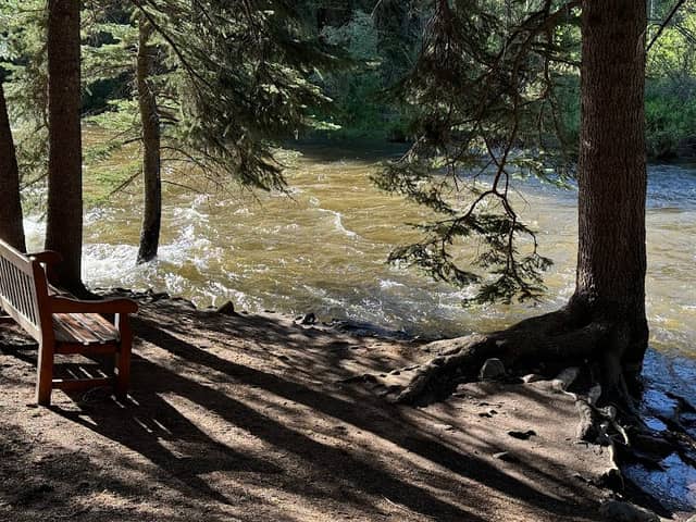 Roger Staub Park - Image 1