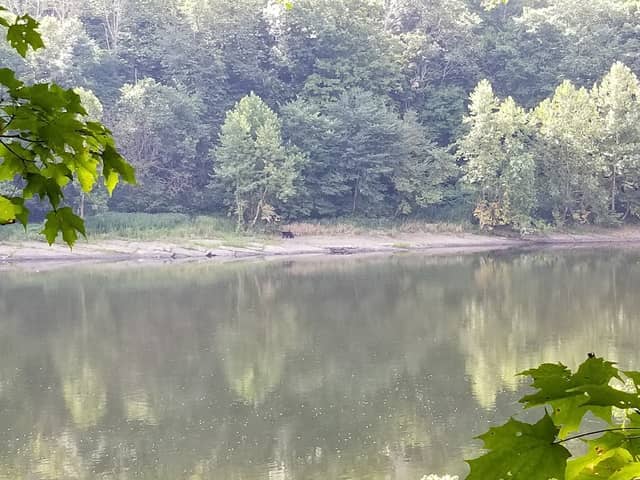 MC-2 River Campsite - Image 2