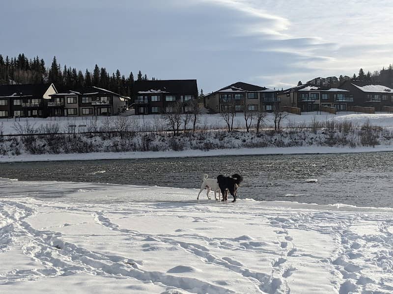Off-leash Park - Image 2