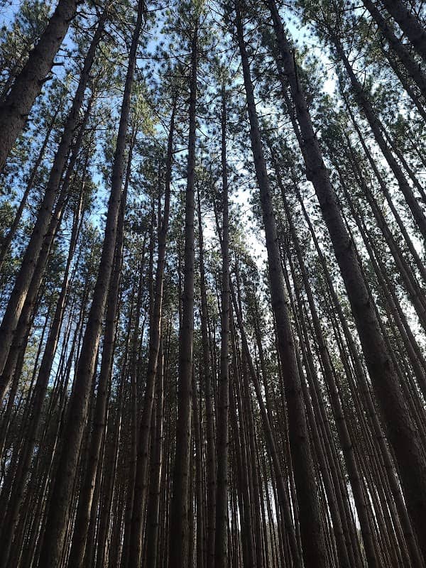 Genesee County Park & Forest - Image 1