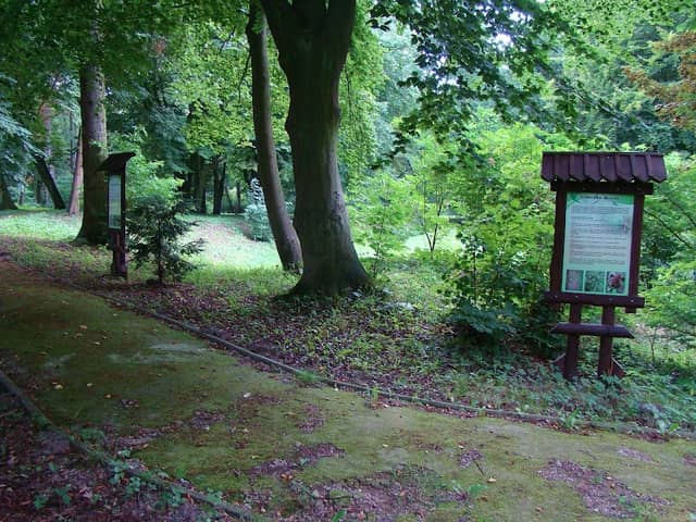 Park Pałacowy - Image 1