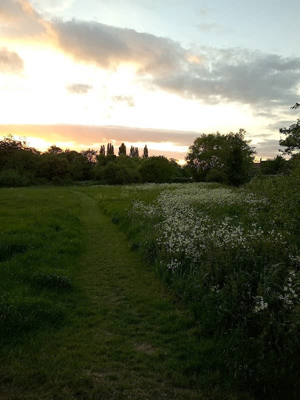 Marston Lane Meadows - Image 1
