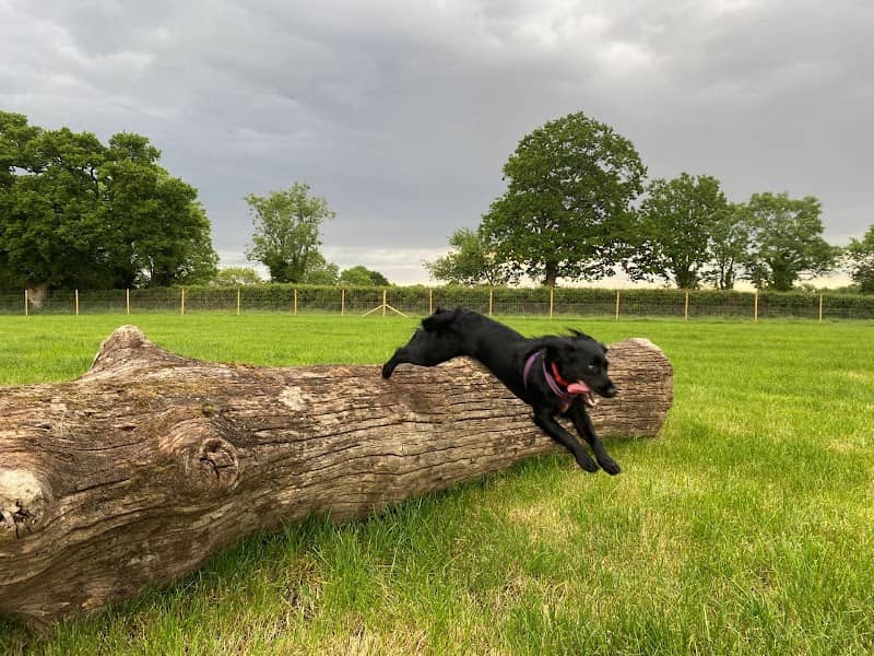 Woof World - Image 1
