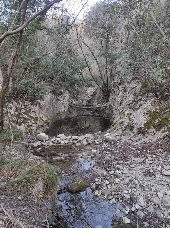 Riserva naturale regionale di Rio Torsero - Image 2